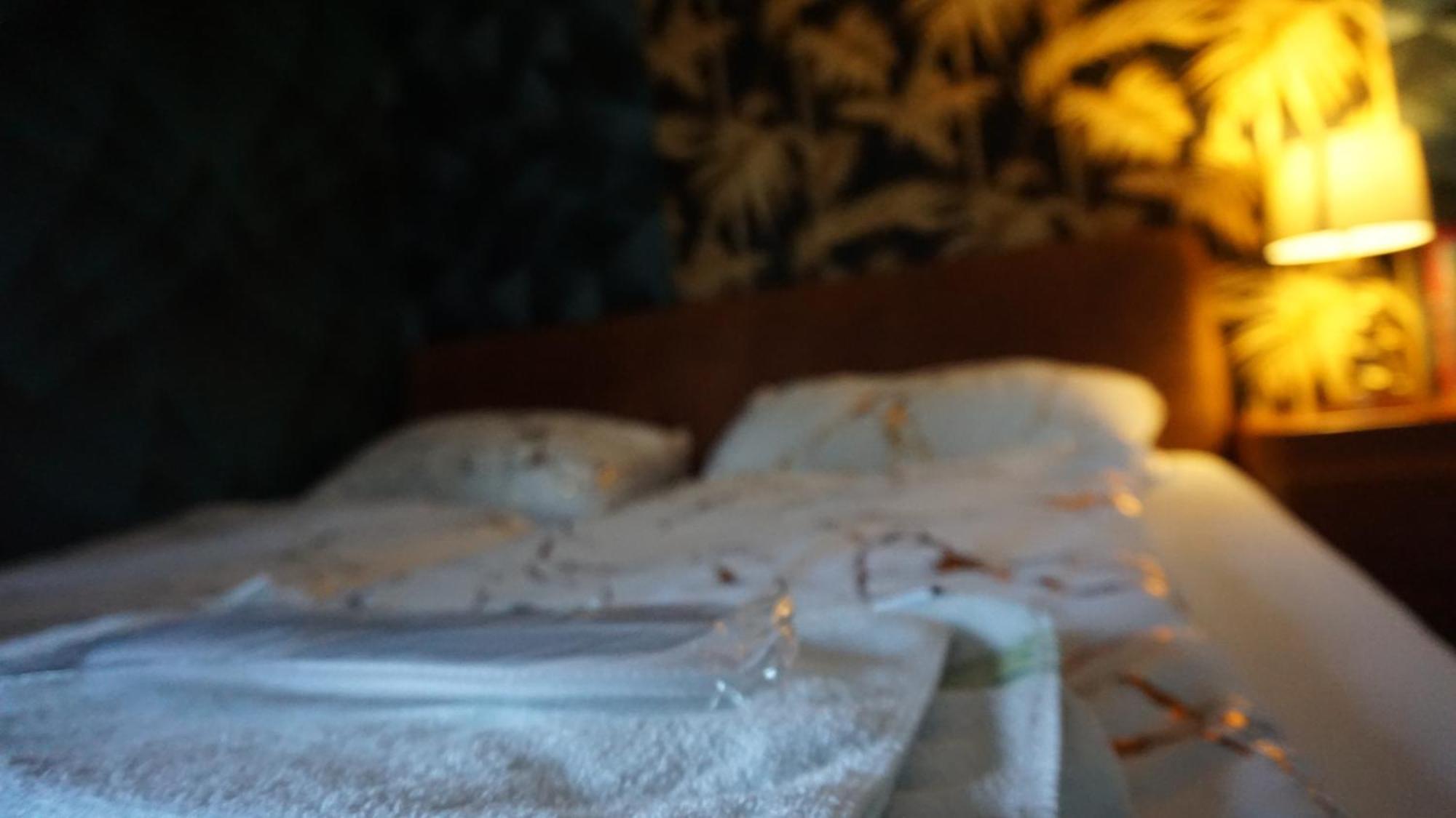 Darkwolf House Apartment Merseburg Luaran gambar