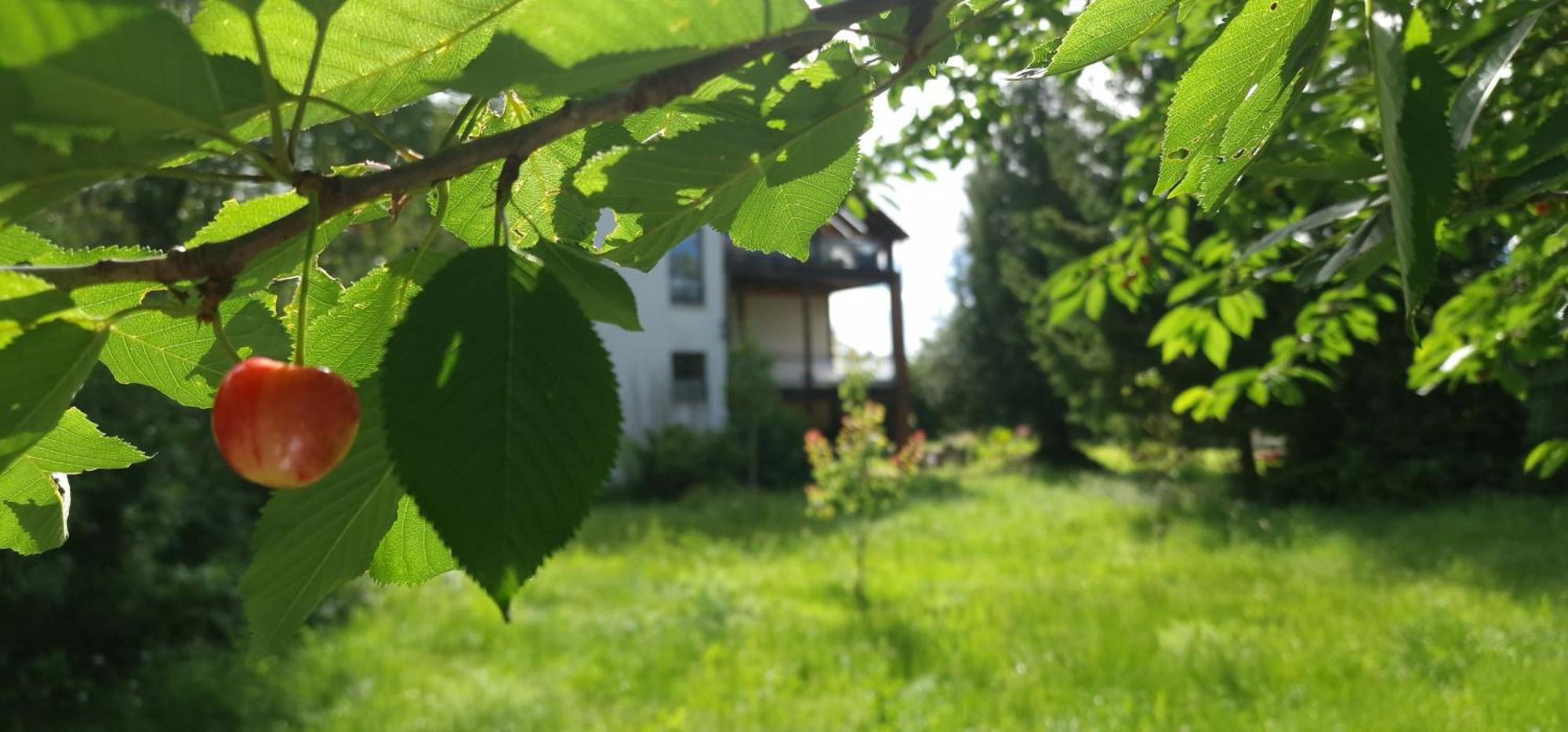 Darkwolf House Apartment Merseburg Luaran gambar