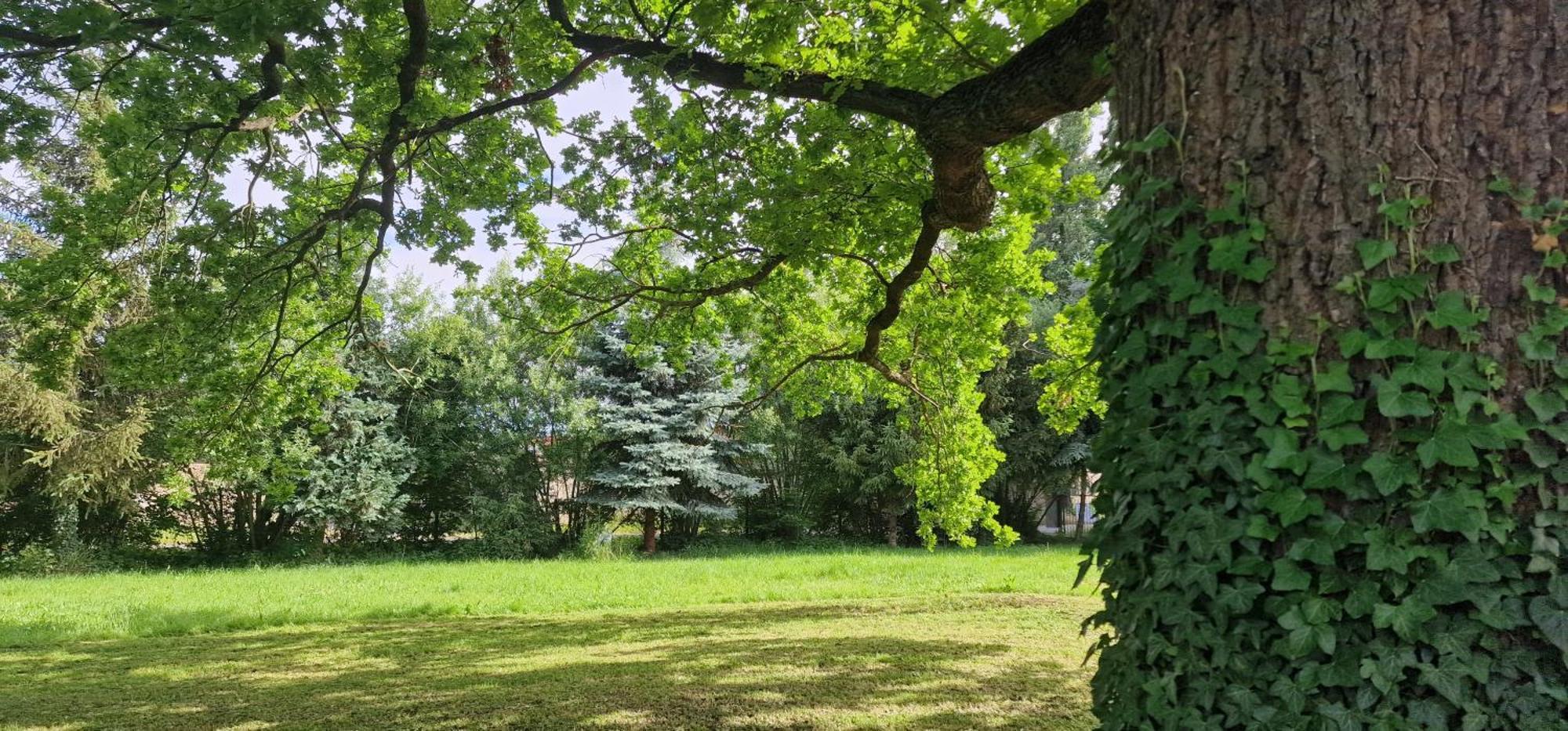 Darkwolf House Apartment Merseburg Luaran gambar