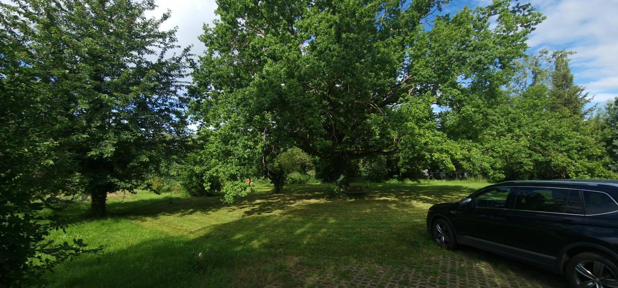Darkwolf House Apartment Merseburg Luaran gambar